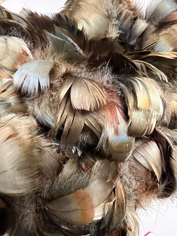feathers for cowboy hats