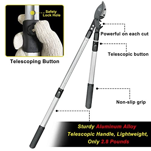 26-41 Inch Extendable Anvil Loppers, Sync Drive Leverage Tree Trimmers,