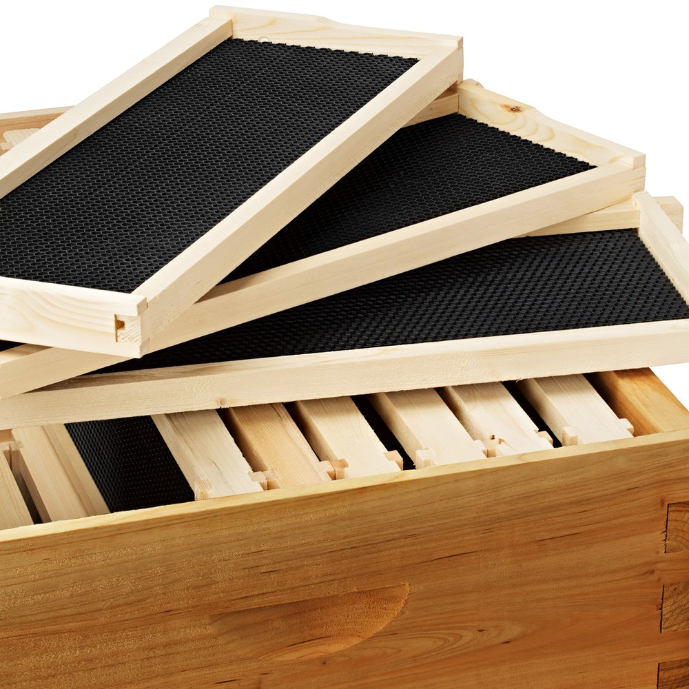 100% Beeswax Beehive 10 Frame Add-On Super, 10 Deep Frames Langstroth Beekeeping