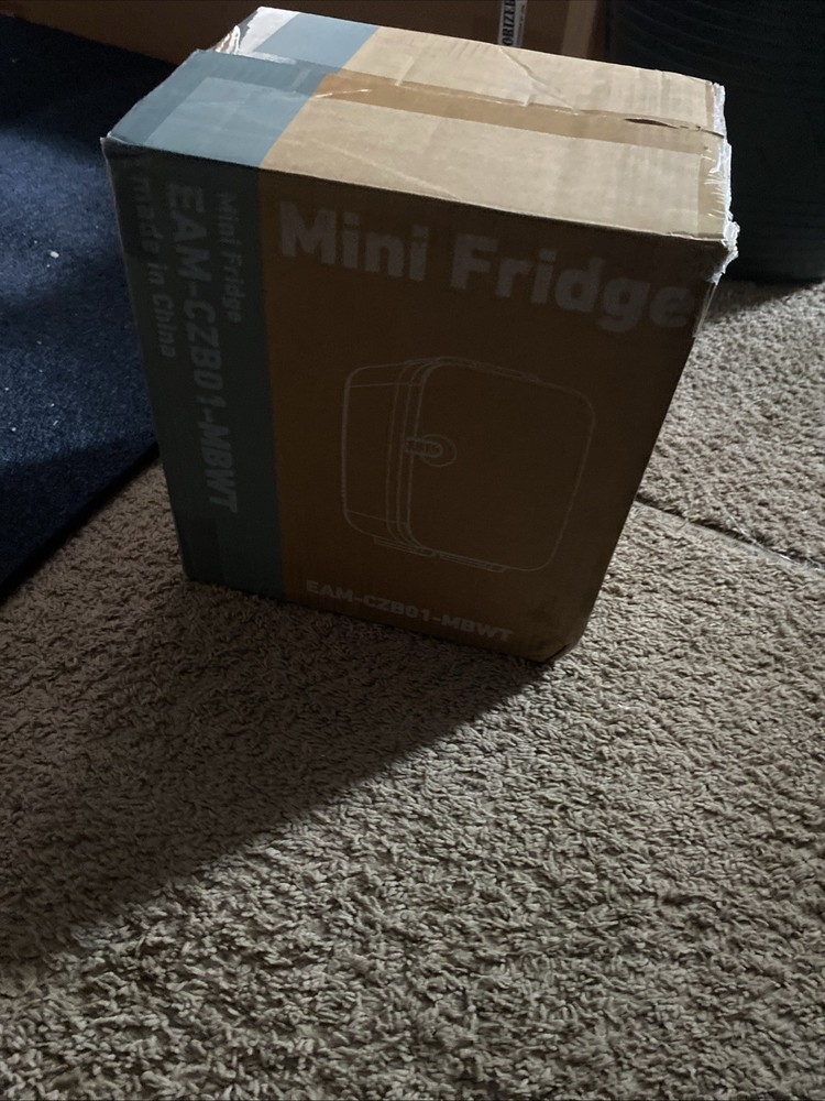 Mini Fridge