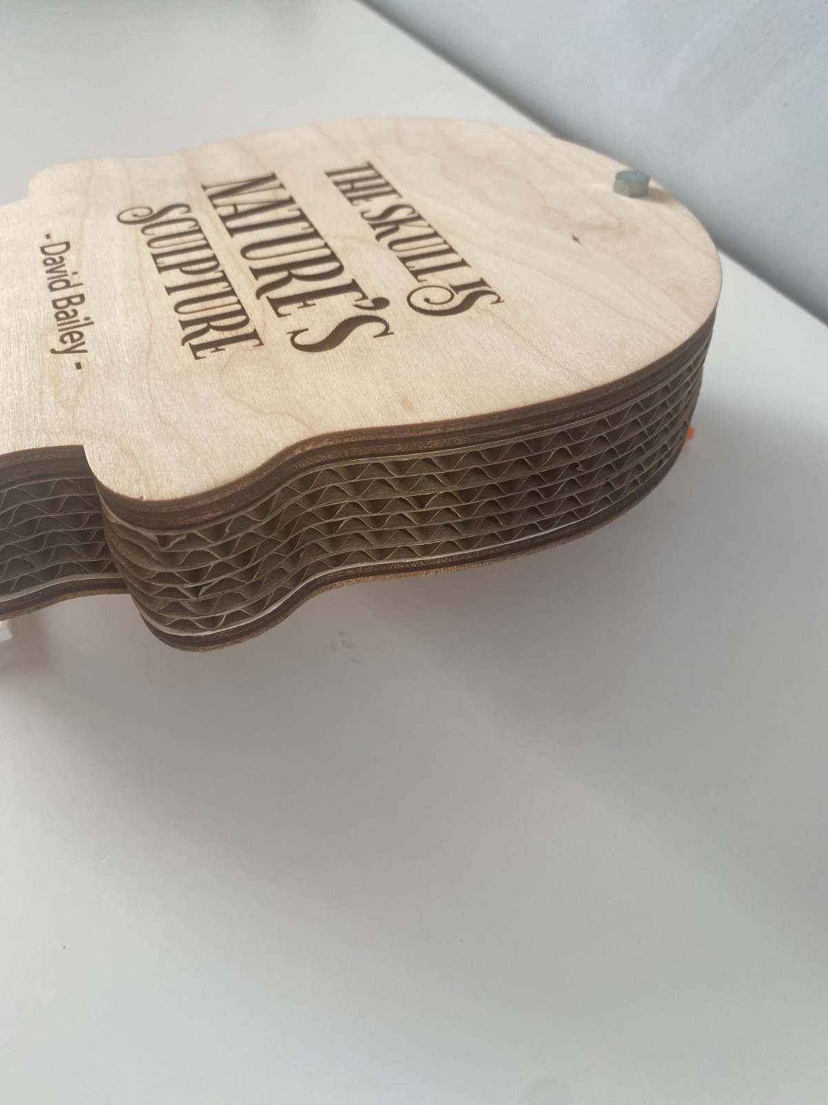 New Handmade Wooden Flower Press Skull Design | Botanical Leaf Herb Press