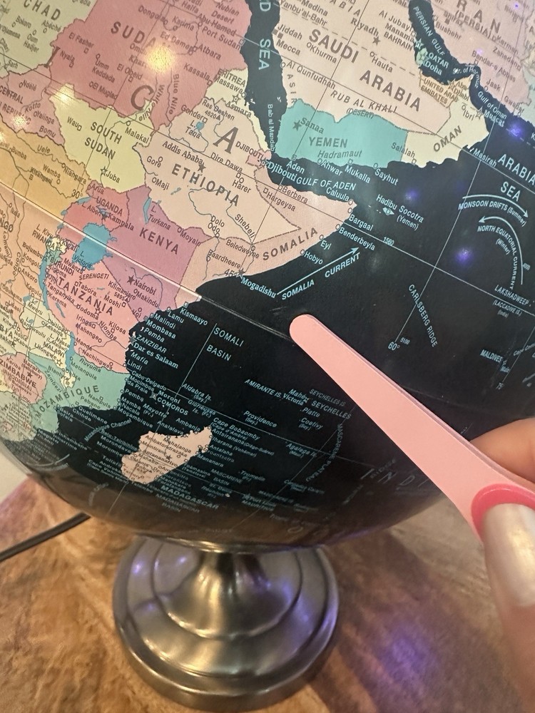 Black Repogle Starlight Series Light Up Globe Illuminated