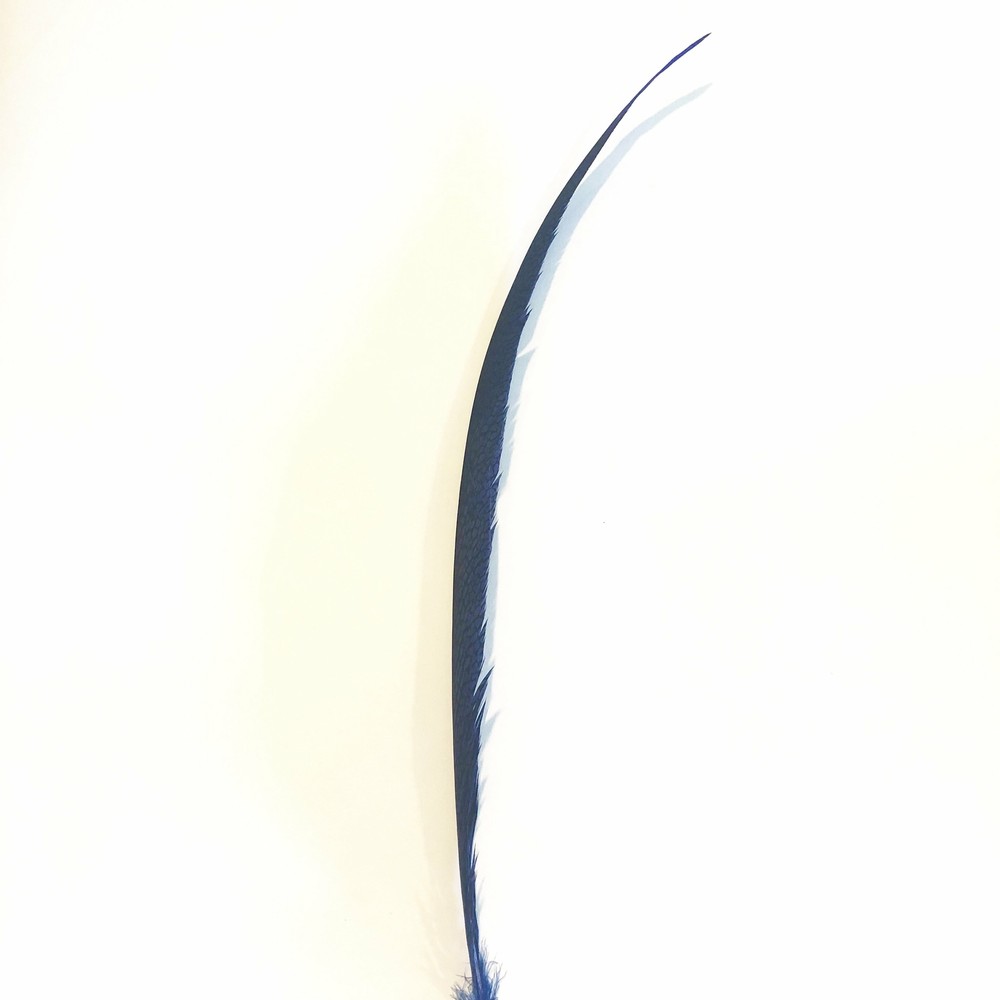 Golden Pheasant Centre Tail Feather - Royal Blue ((SECONDS))