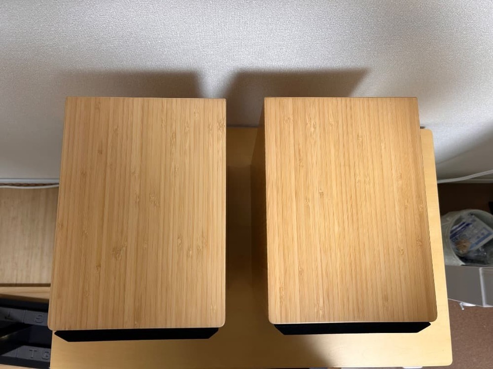 Ascend Acoustics Sierra-LX speaker