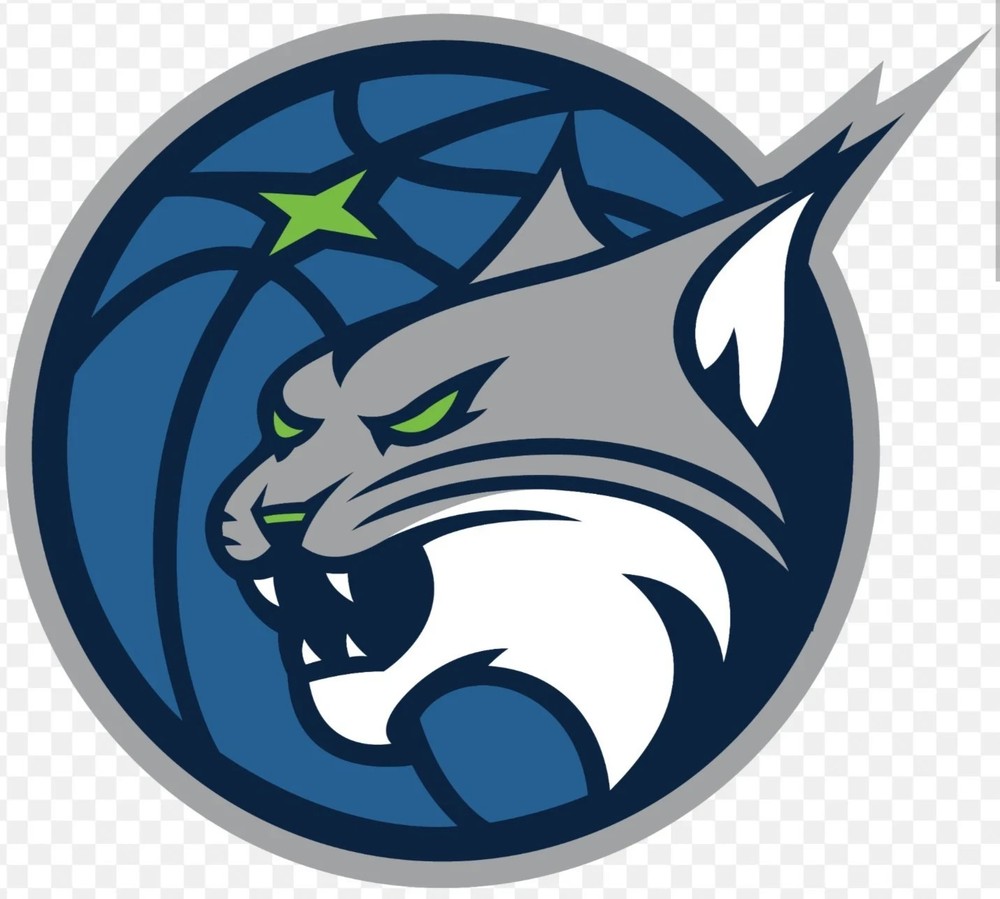 MINNESOTA LYNX WNBA IRON ON PATCH 3" X 2.75"  FAST FREE SHIPPING