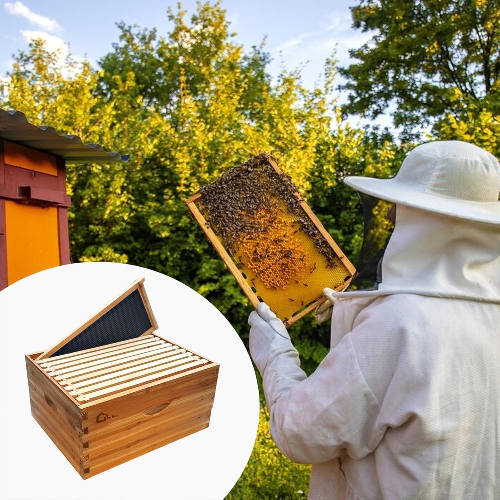 10-Frame Langstroth Beehive Kit with 10 Deep Frame Box Beekeeping Supplement