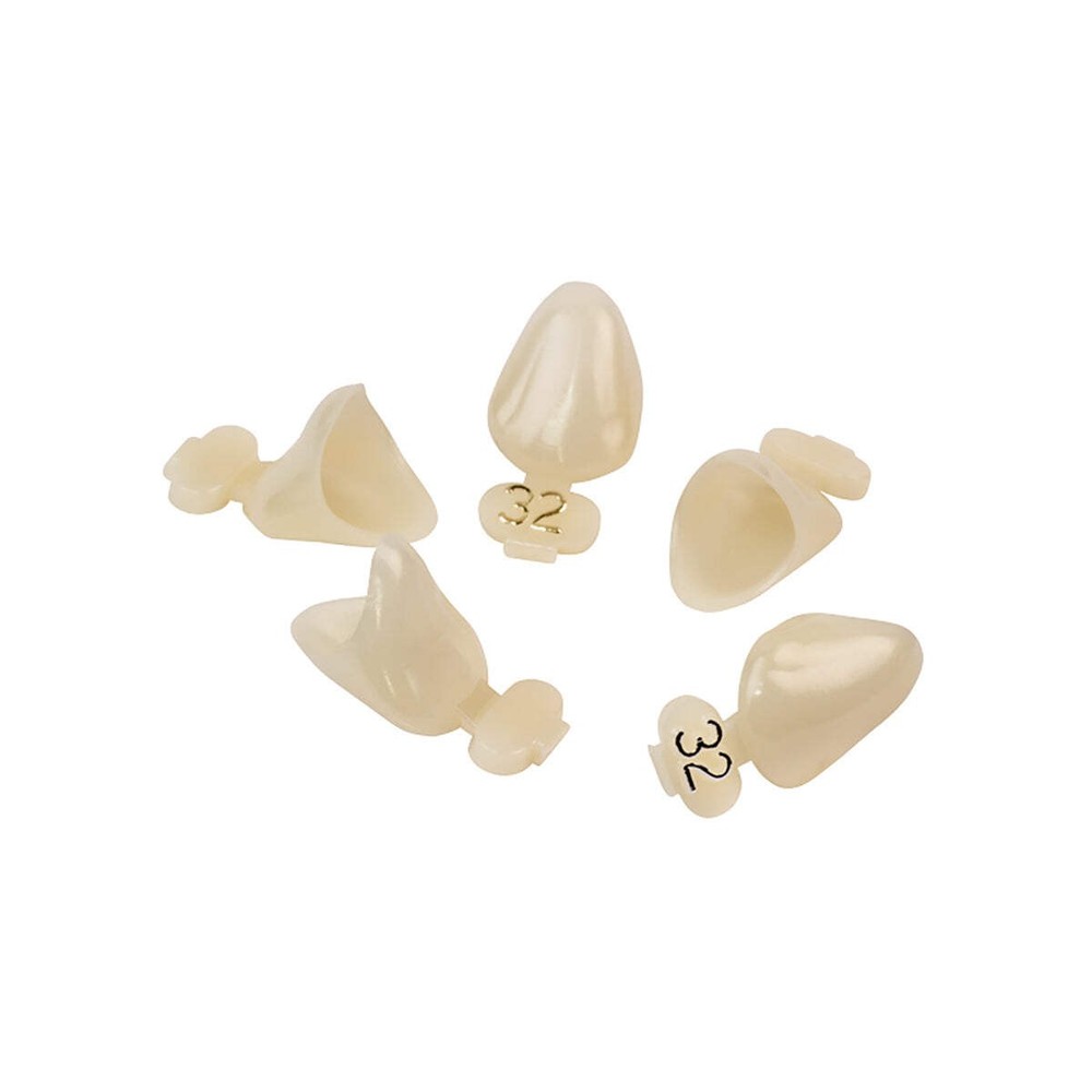 Dexiter Polycarbonate Temporary Crowns (Right Cuspid)