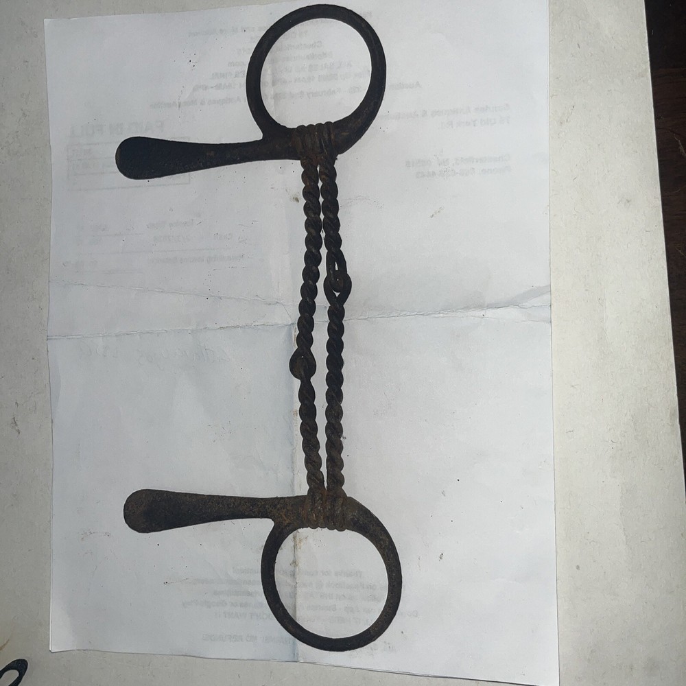 Twisted wire O ring Horse Bit