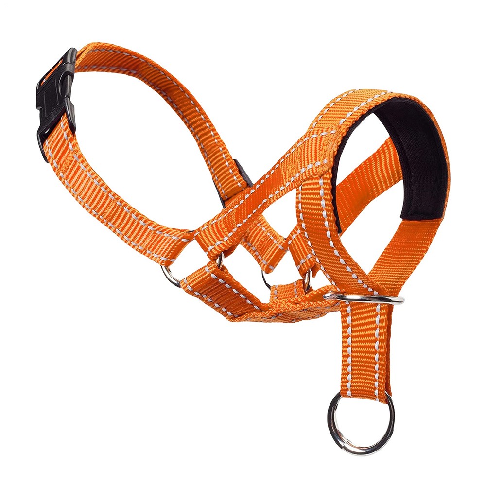 Gentle Halter Leash Gentle Leader Head Collar No Pull for Training Dog Muzzle