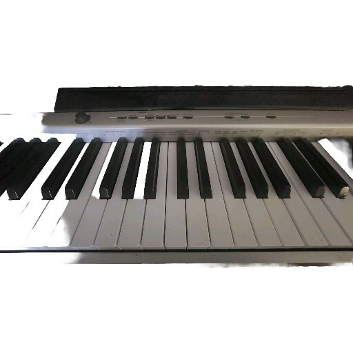 Casio Priva PX 120 & AODSX stand.