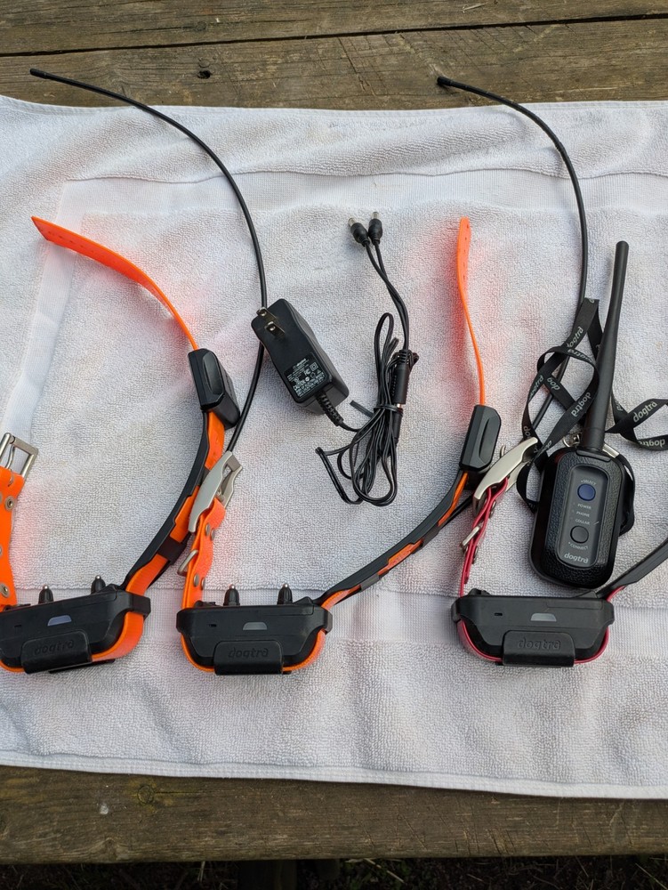 Dogtra Pathfinder 3 Dog Training System