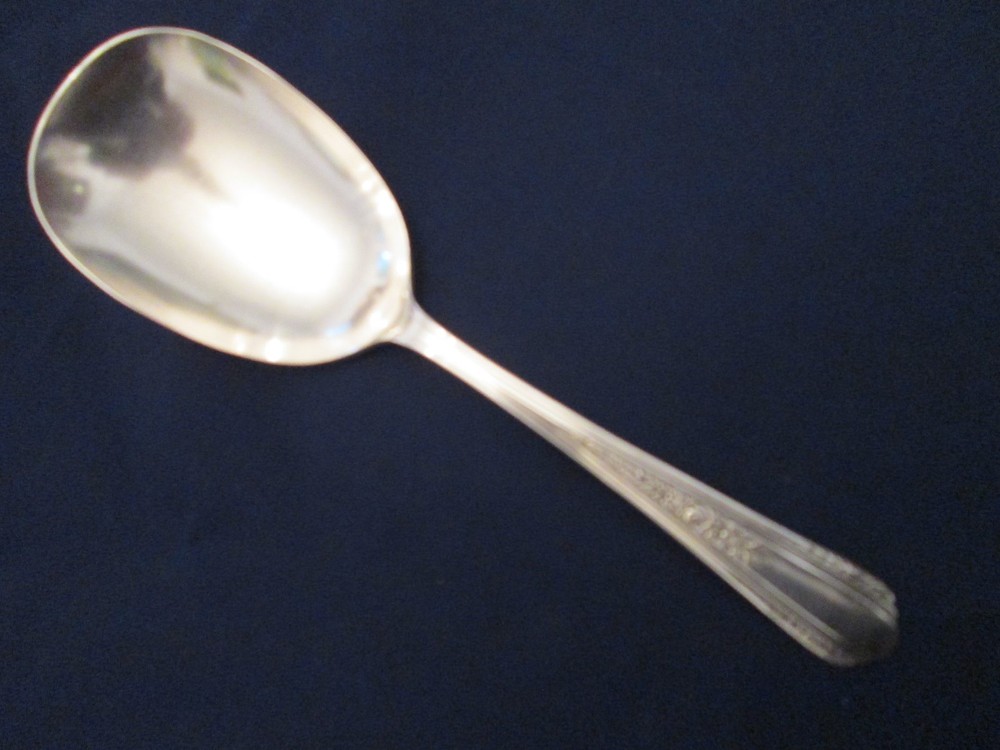 CASSEROLE SPOON! Vintage WALLACE silverplate: VISION pattern: EXCELLENT!