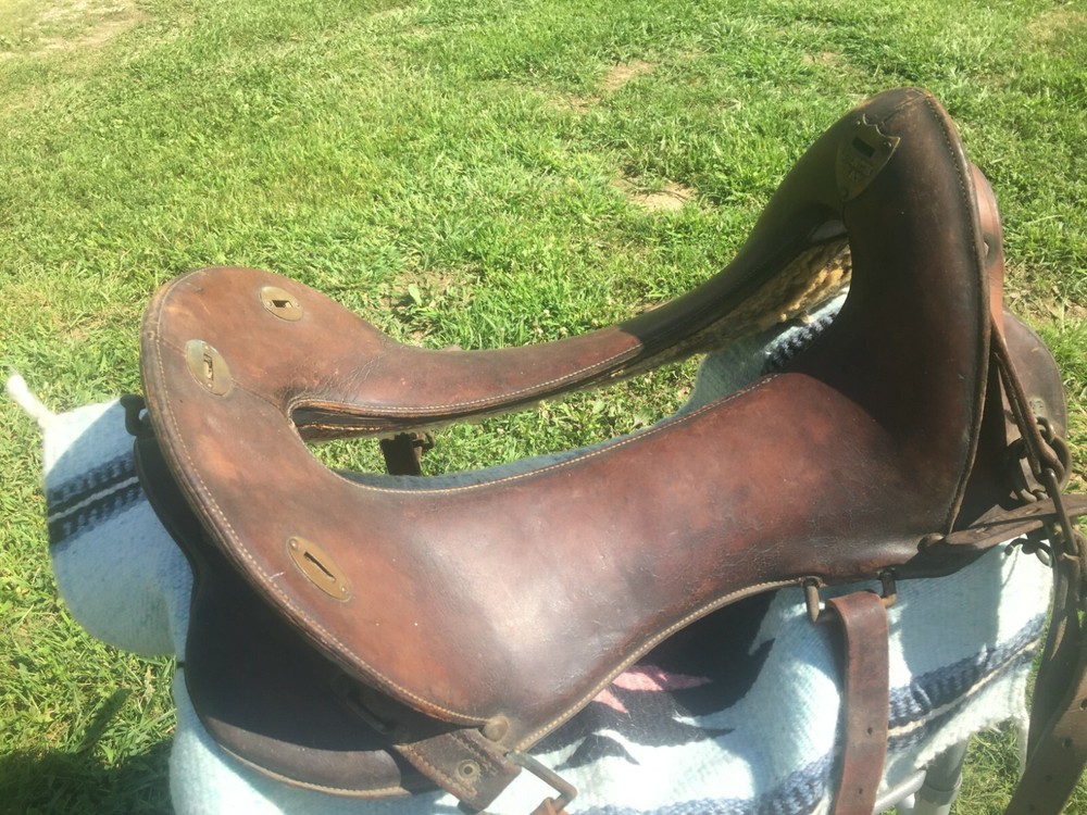 mcclellan cavalry saddle 12 In Seat