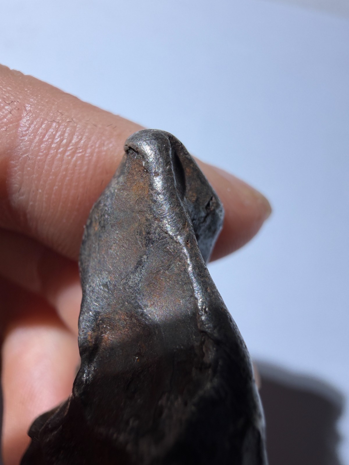 Sikhote-Alin Iron Meteorite 19.65g – Clear Rollover Lip + Beautiful Regmaglypts