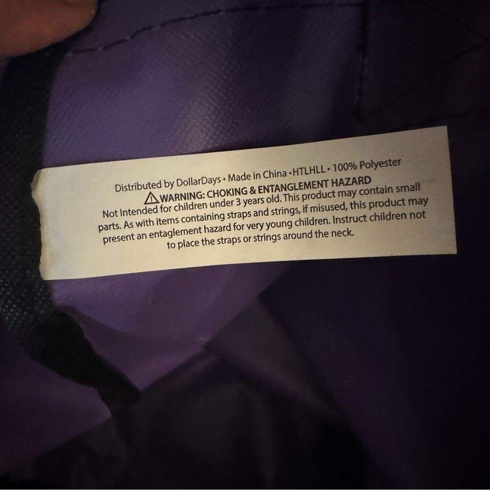 BigBox Nylon Purple Backpack 17 in