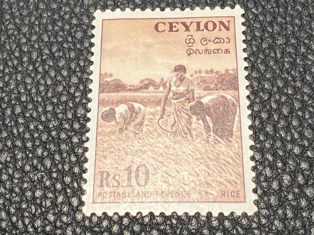 Ceylon 328 MH