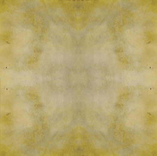 Engrave-A-Crete RAC (Acid) Concrete Stain-Sample Kit 16oz each