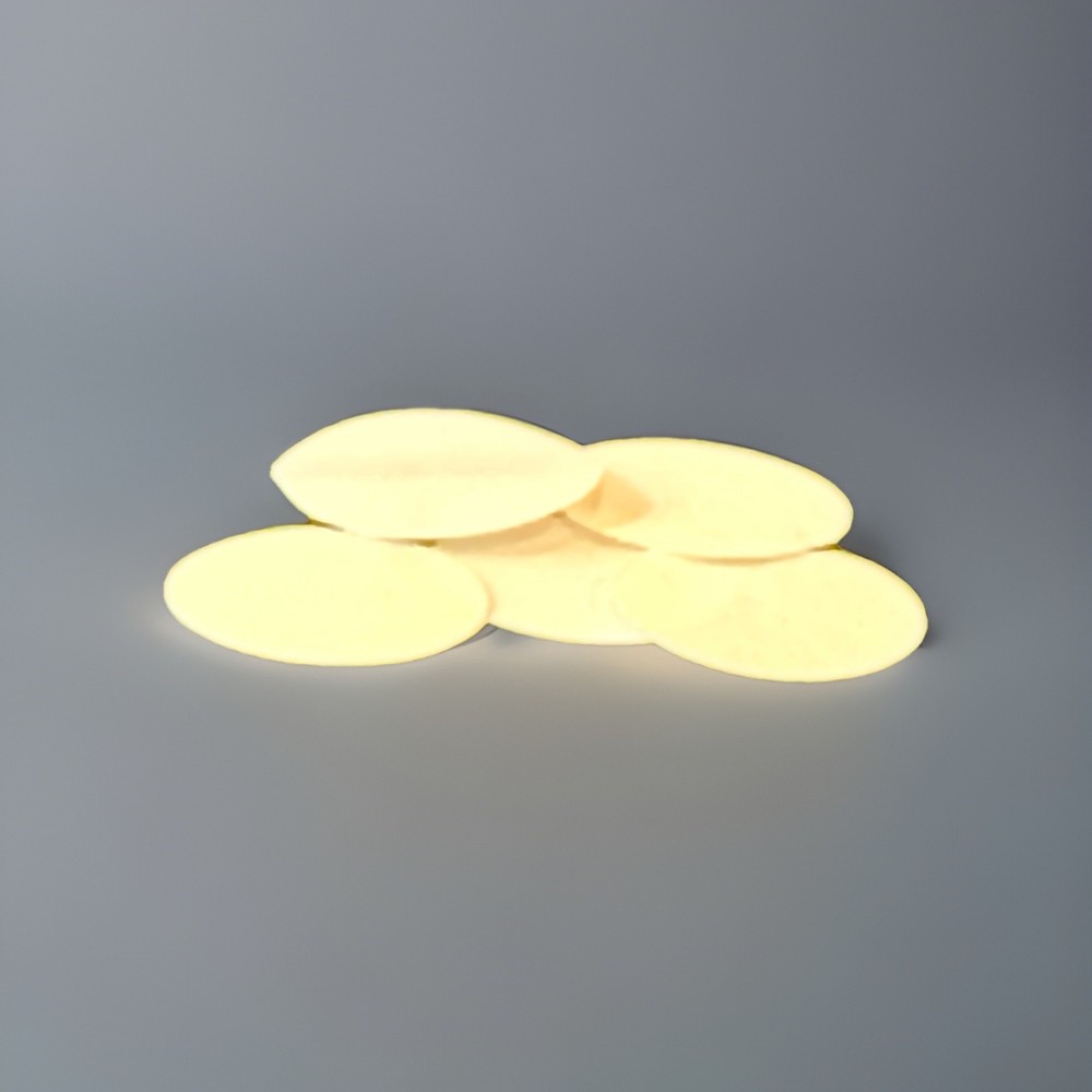 BW Hydrophobic Pump Filter Replacement (5/Pack) XT-RF-H50