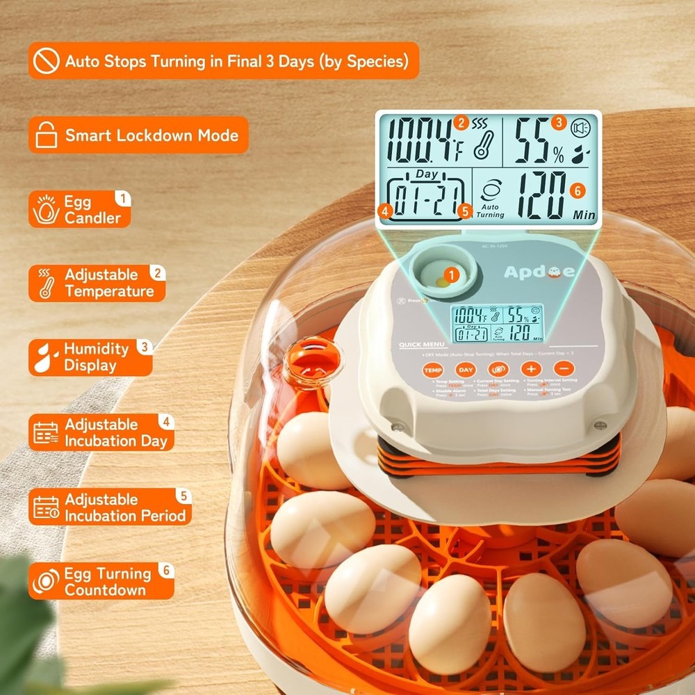 Elegant Egg Incubator with Automatic Turning & Temperature Control for 12 Eggs