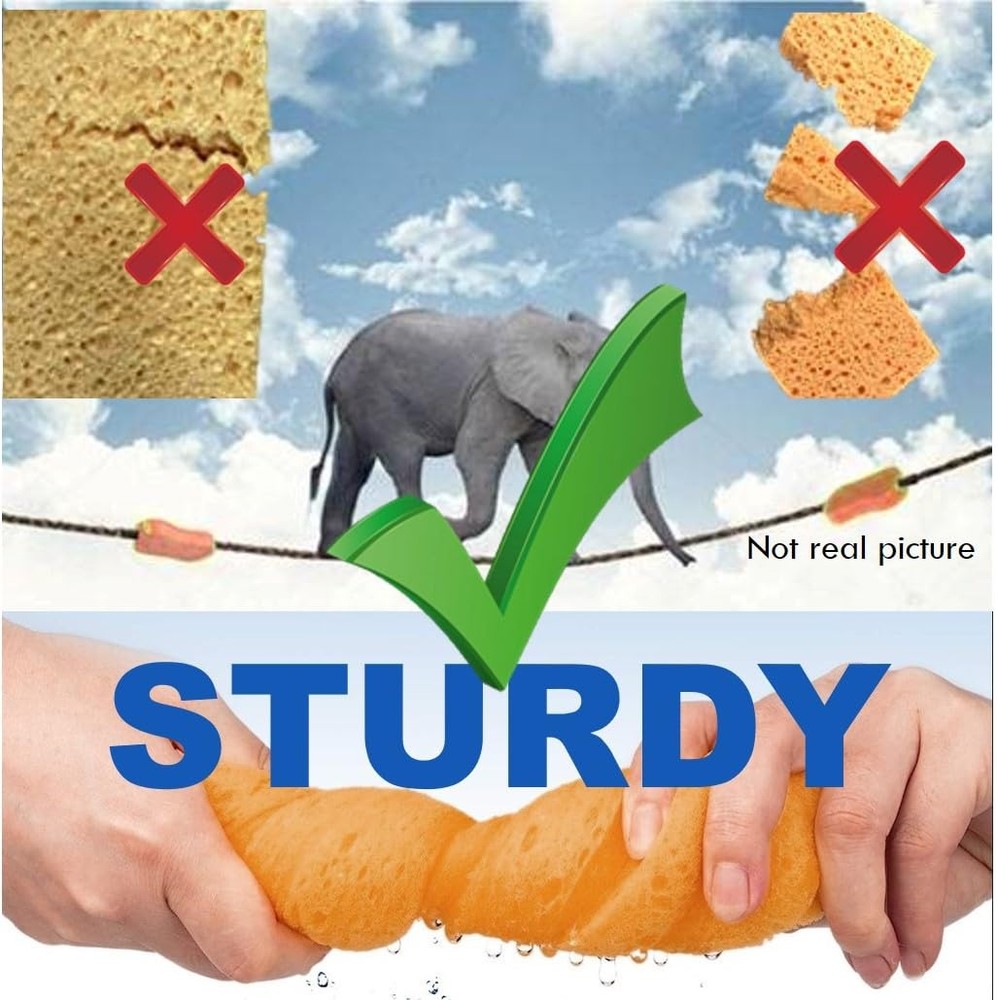 Ultimate Premium 5-Pack Coral Sponge Set - Extra Soft, Non-Scratch, Foaming &...