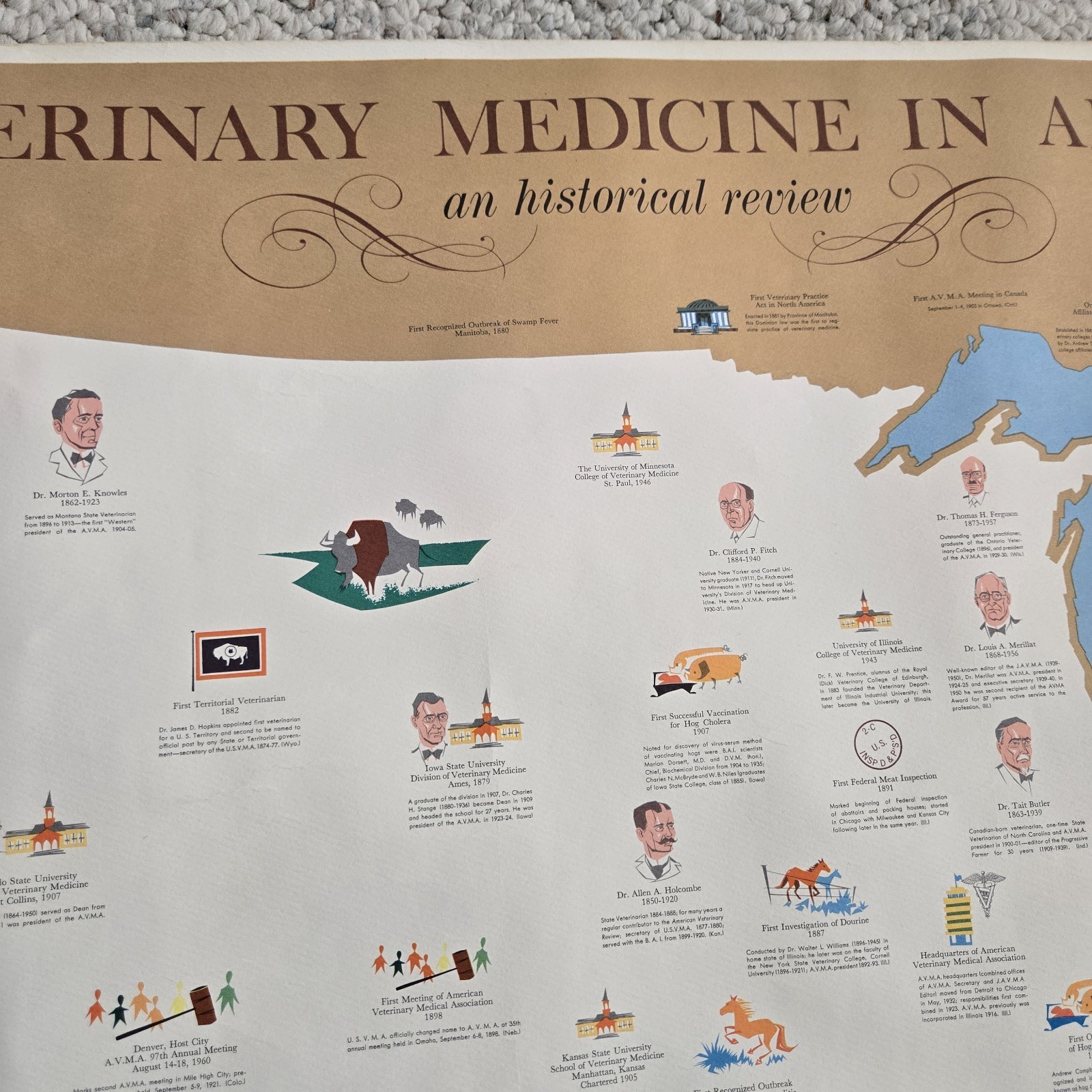 1960 Veterinary Medicine In America Poster History Map Unframed Vtg Vet Wall Art
