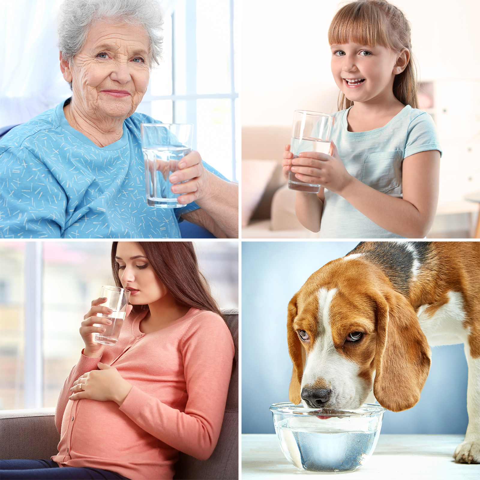 WP2-400GPD UV Reverse Osmosis Drinking Water Filter System Drinking Water 0 TDS