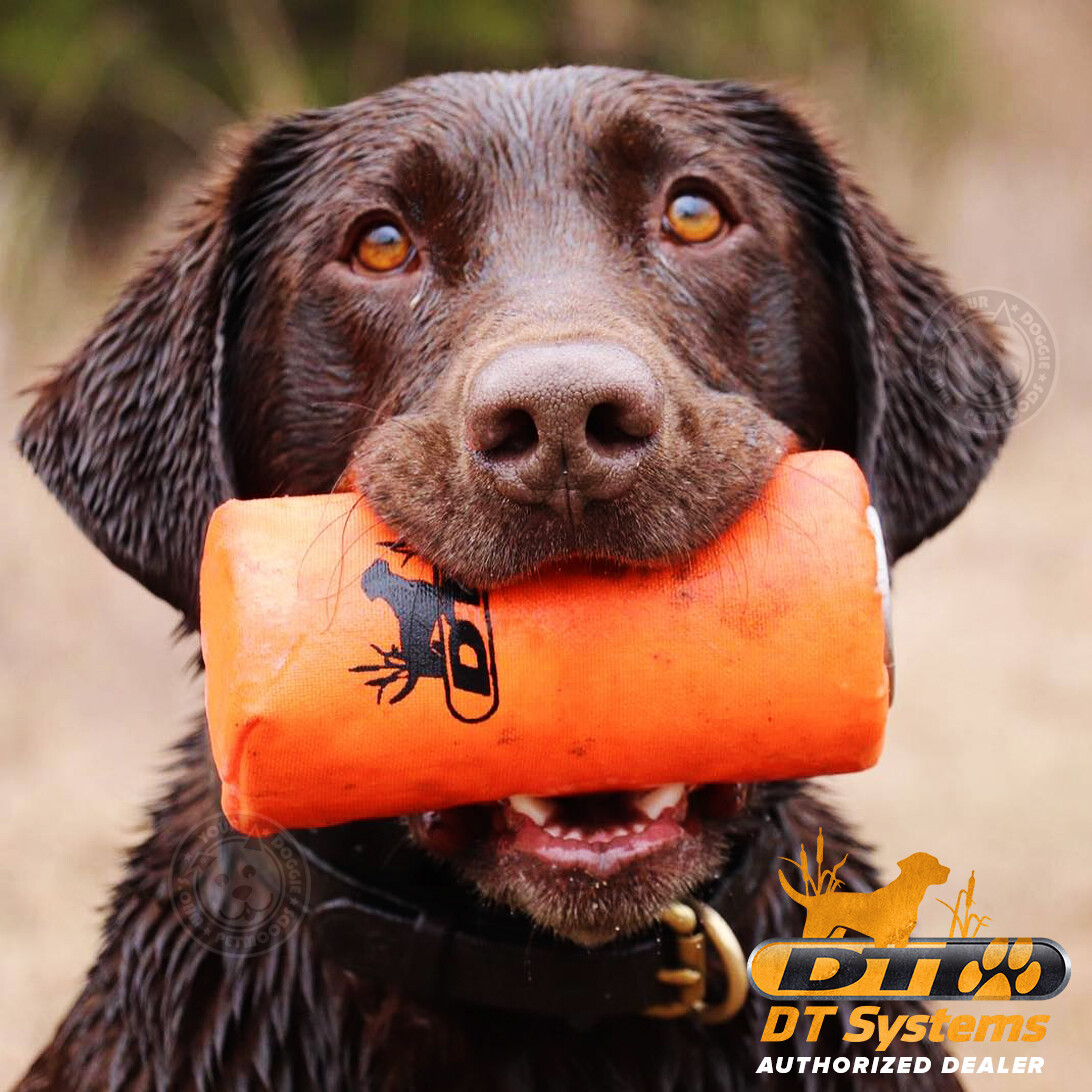DT Systems Super Pro Dummy Launcher Hand Held Dog Training Kit Orange