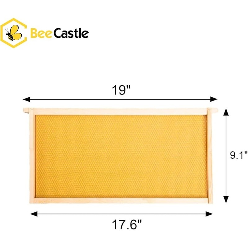 10 Pack Deep Hive Frames Wax Foundations Langstroth Beehive Easy Assembly New