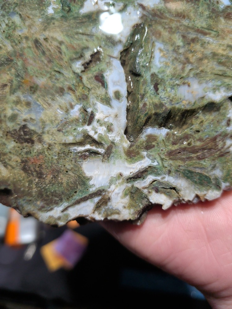 Hampton Butte Slab Specimen (1lb 8oz)