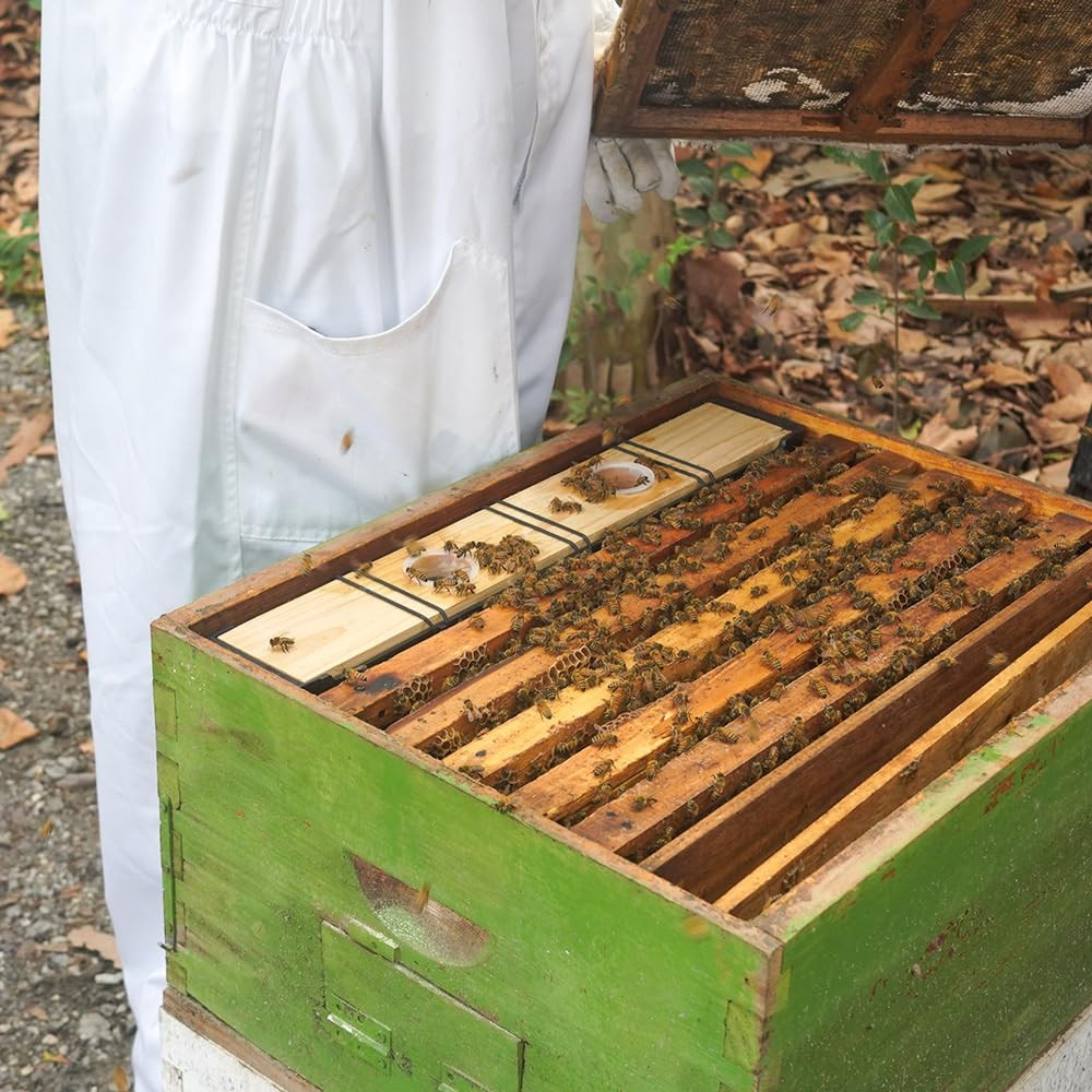 Bee Hive Frame Feeder 2 Pack 6.5L Beehive Feeder Deep Box Beekeeping