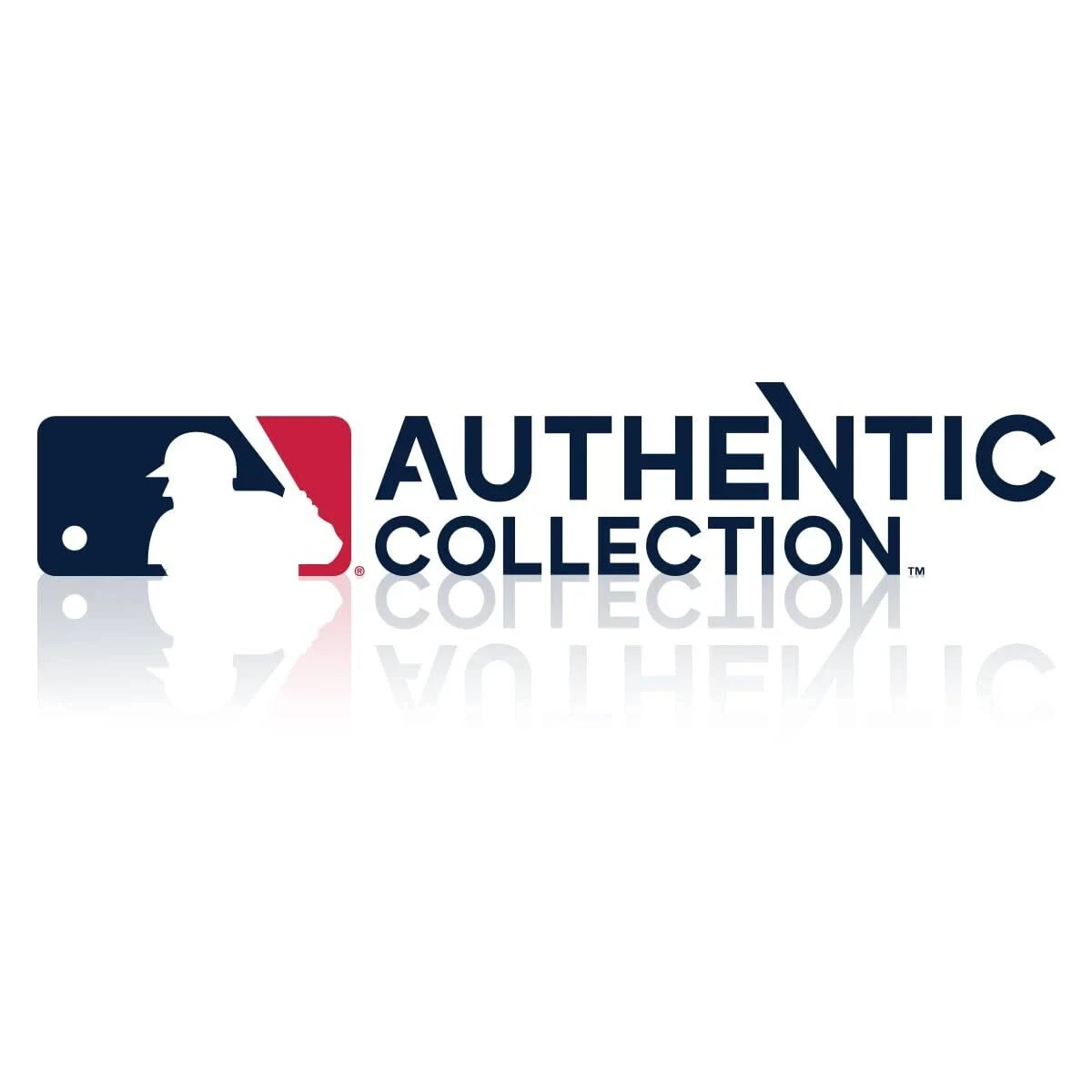 NEW! Varo ARC Bat 12oz Training Weight for Baseball (MLB Authentic)