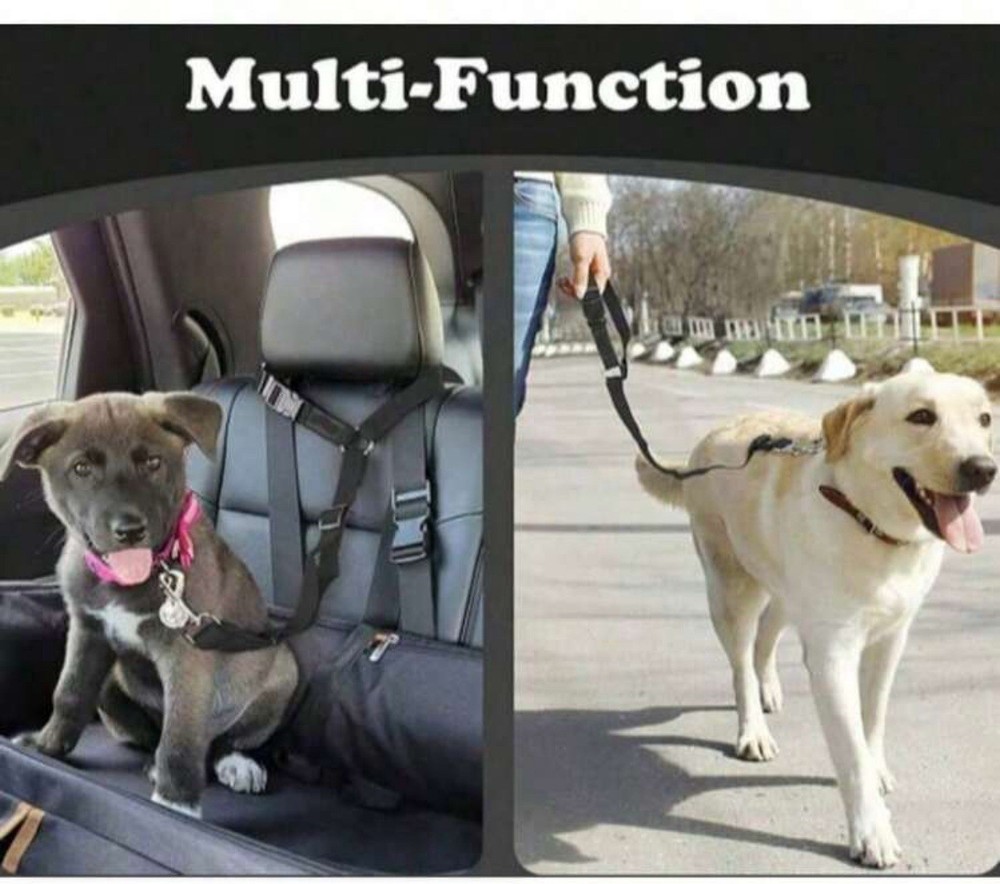 Pets Car Belt