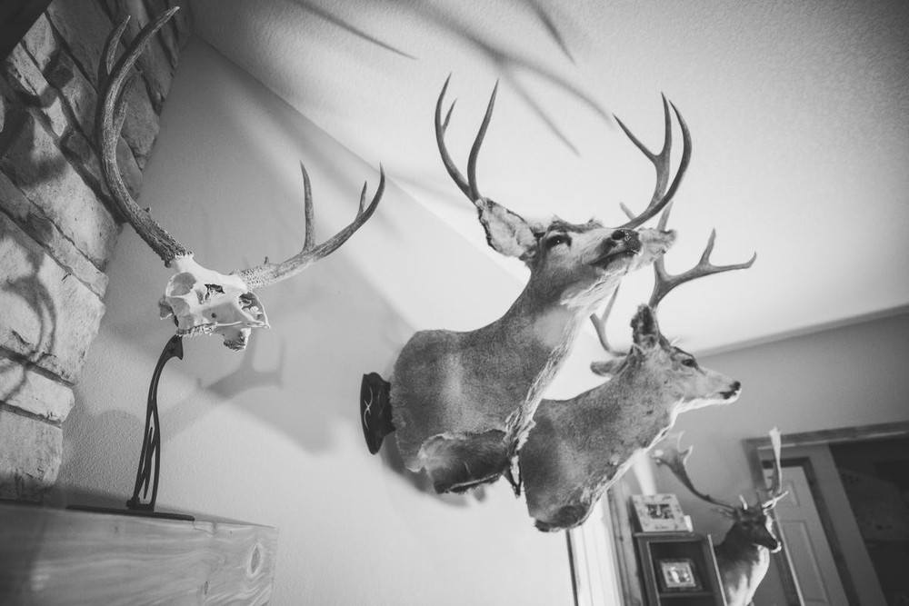 Skull Hooker Single Shoulder Trophy Mount SKH-SSM-BLK