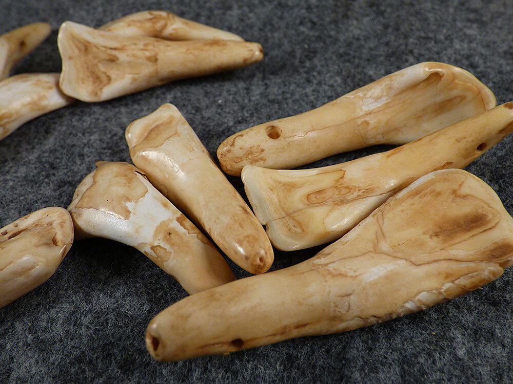 (10) OLD Original Buffalo Teeth Sioux Indian Ornamental Beads Fur Trade 1700's