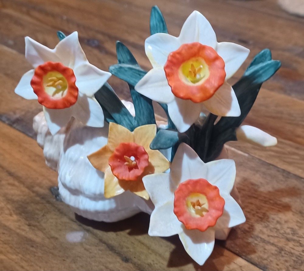 Daffodils In A Sea Shell Beautiful