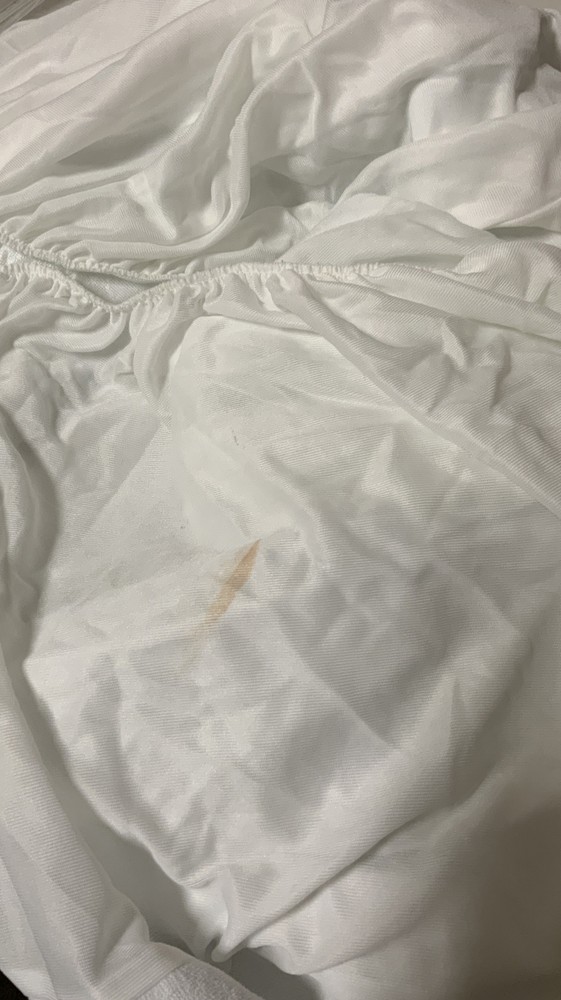 🛏️ Allerease -Twin Perfect Protection Waterproof Mattress Protector 👉w/defect
