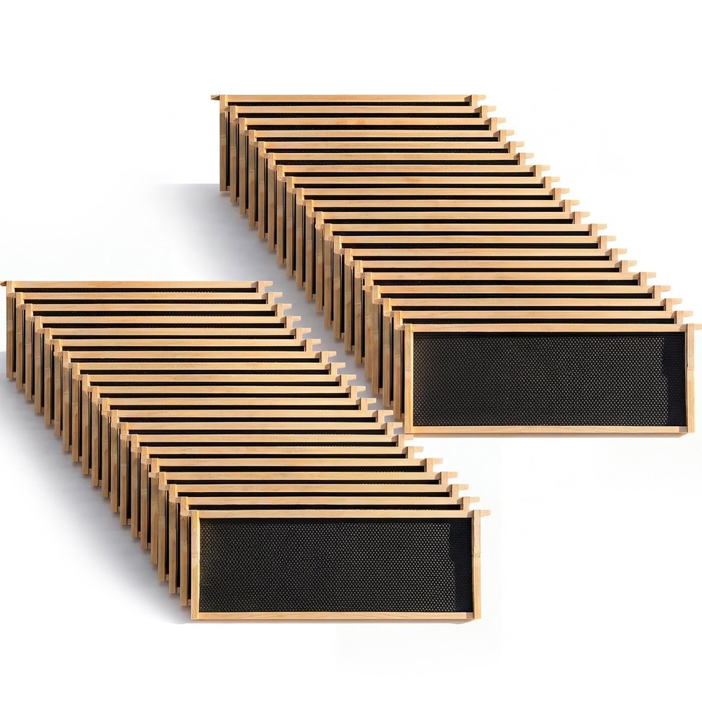 40 Pack Deep Beehive Frames and Foundations Beeswax Coated Food Grade Sheets ...
