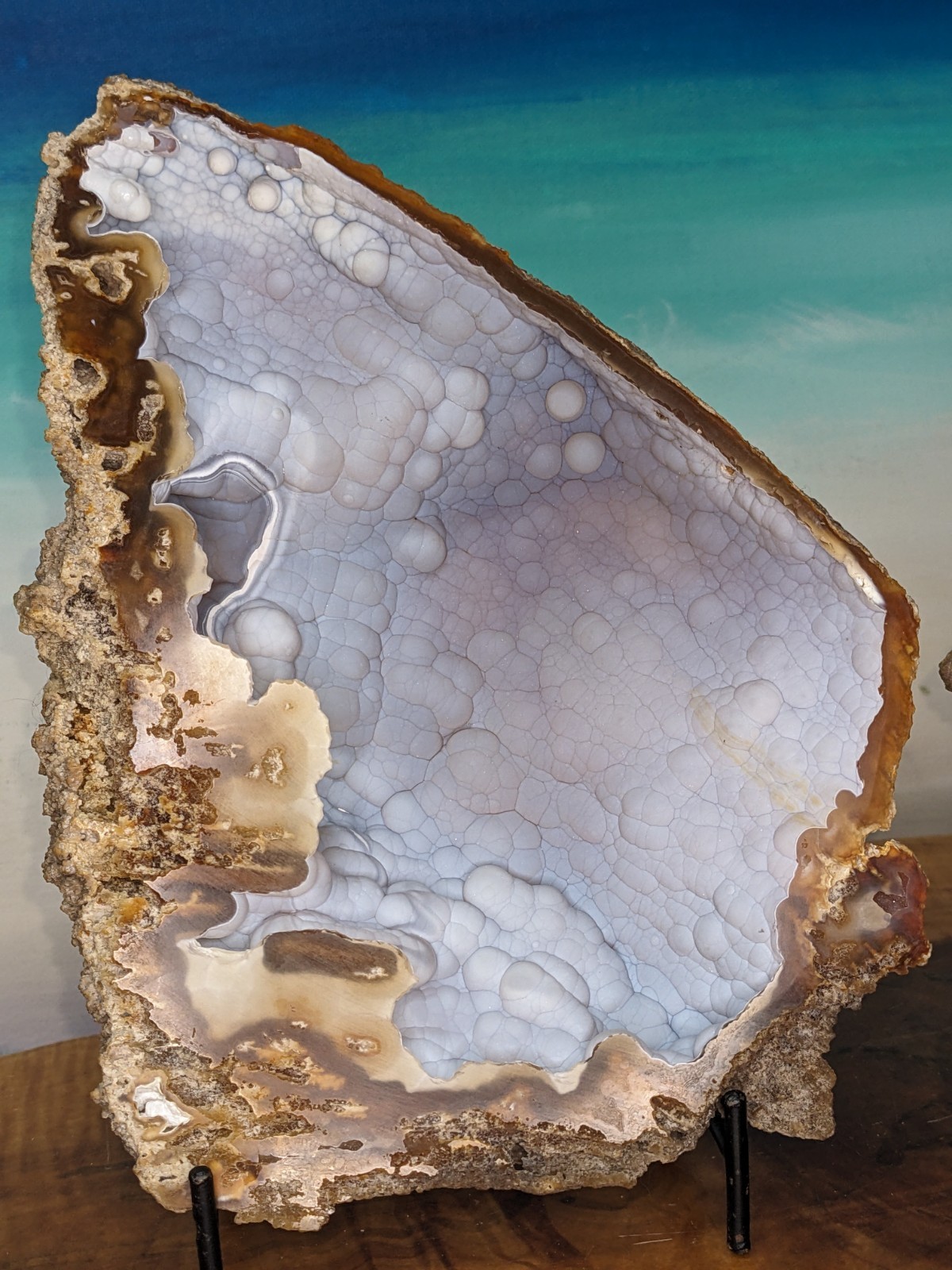 Agatized Coral Fossil Split Geode Botryoidal Blue/Violet Butterfly w/stands