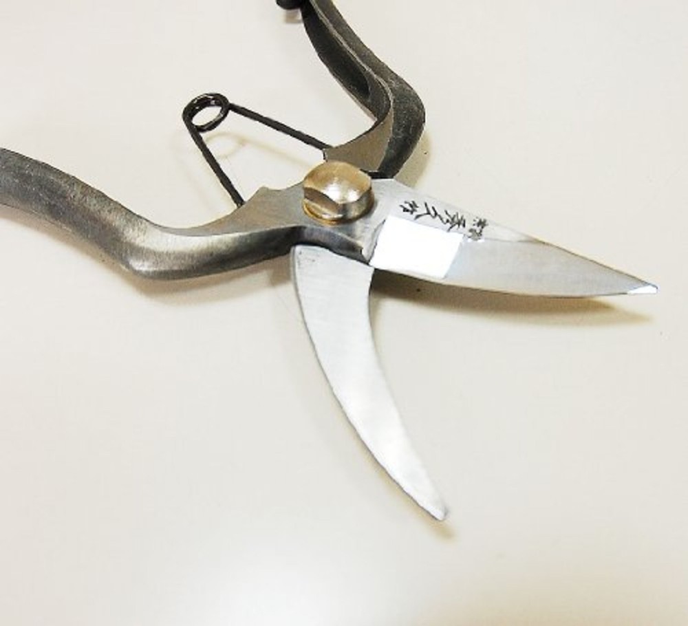 Soke Hidehisa versatile pruning shears T-19 All-purpose pruning scissors Japan