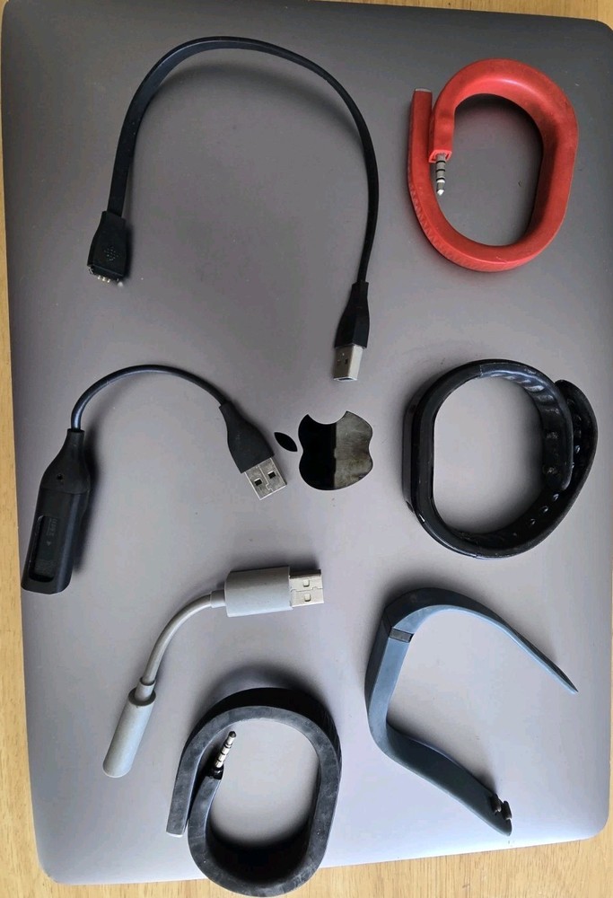 Fitbit Parts