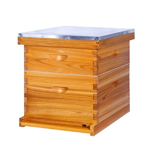 10-Frame Beehives Starter Kit – Complete Langstroth Hive with 1 Deep 2 Layers