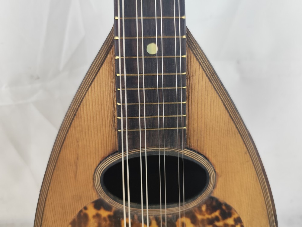 Mandolin 4/4 Francesco Solomone 1905 Naples 曼陀林 만돌린マンドリン