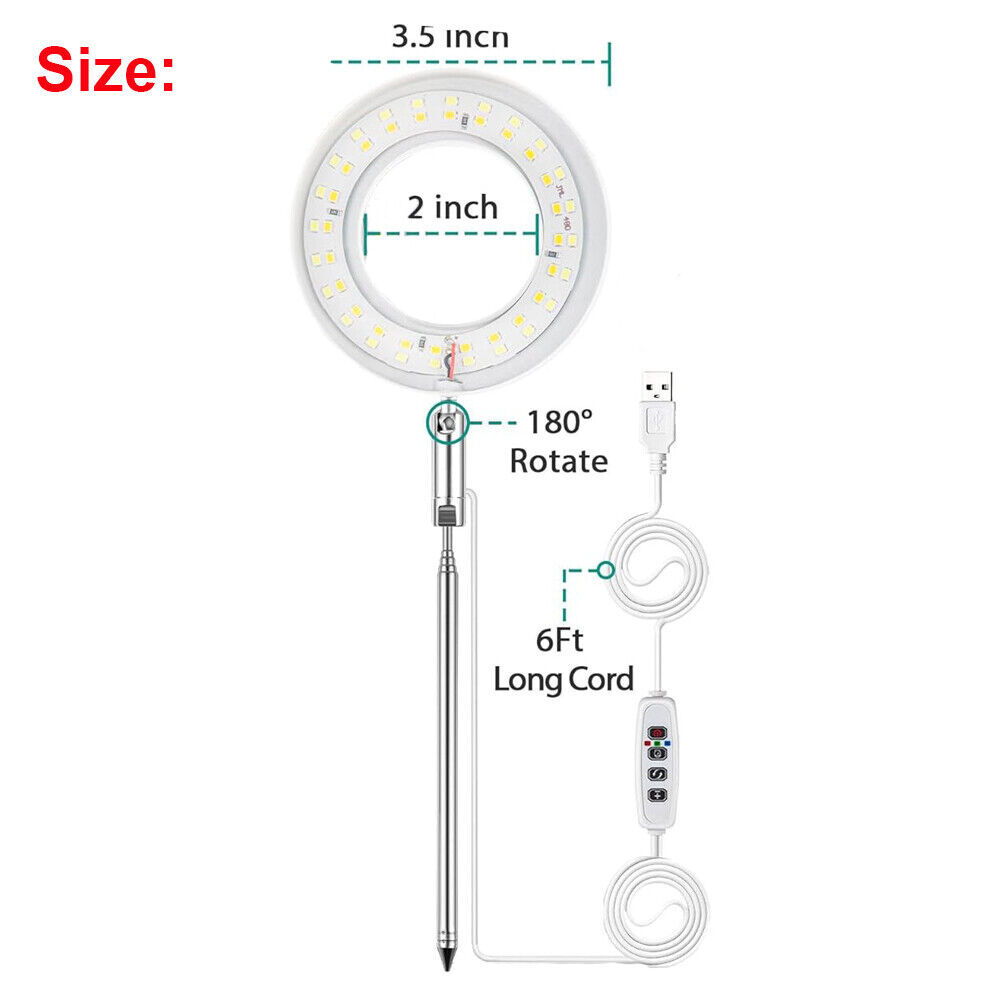 LED Grow Light Full Spectrum Indoor Plant Lamp with Timer