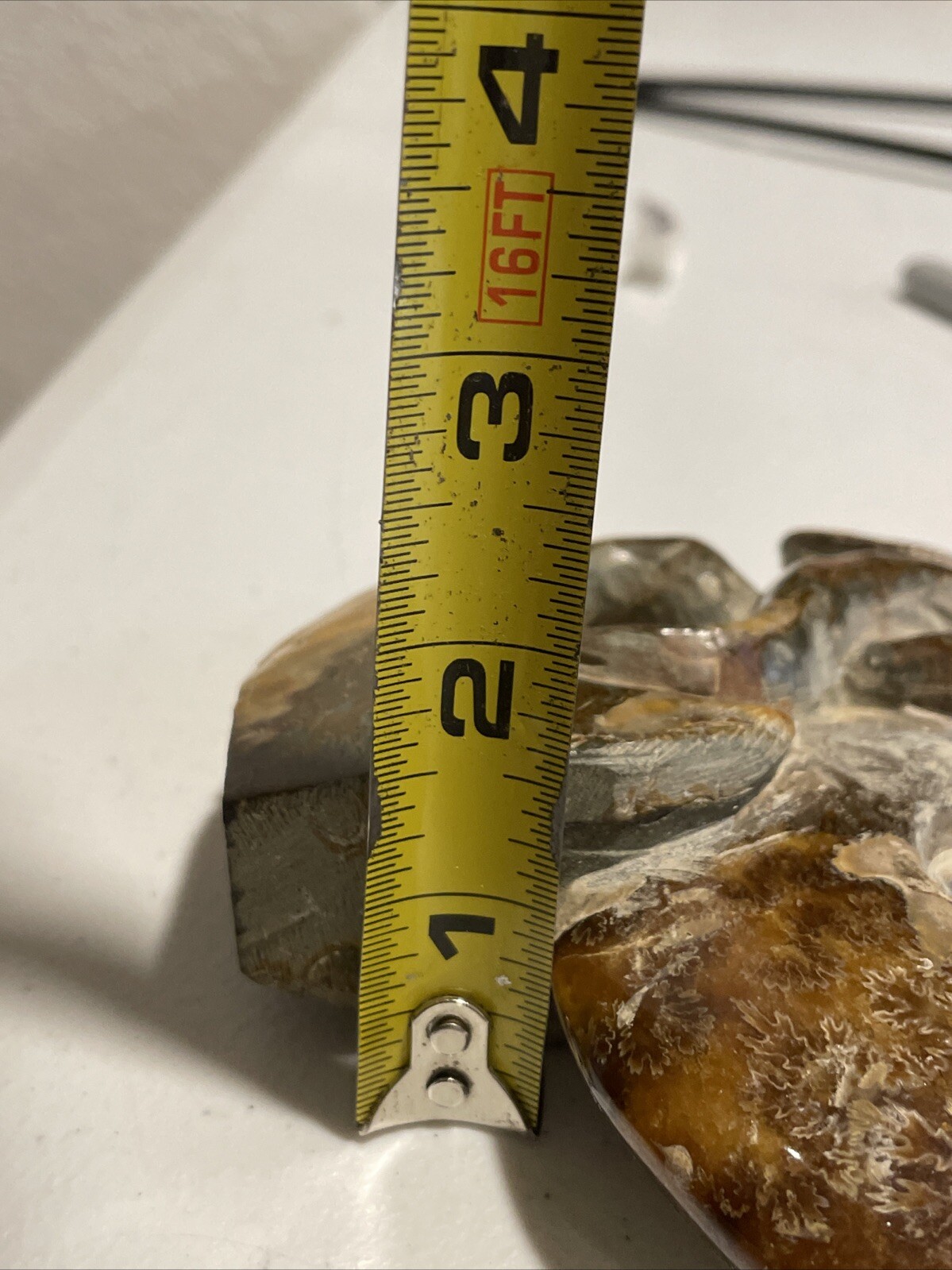 Small Fossilized Agatized Polished Ammonite Specimen 6 inches 1# 10oz