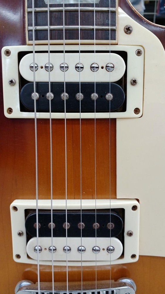 BURNY / FLG-70 (no260410)