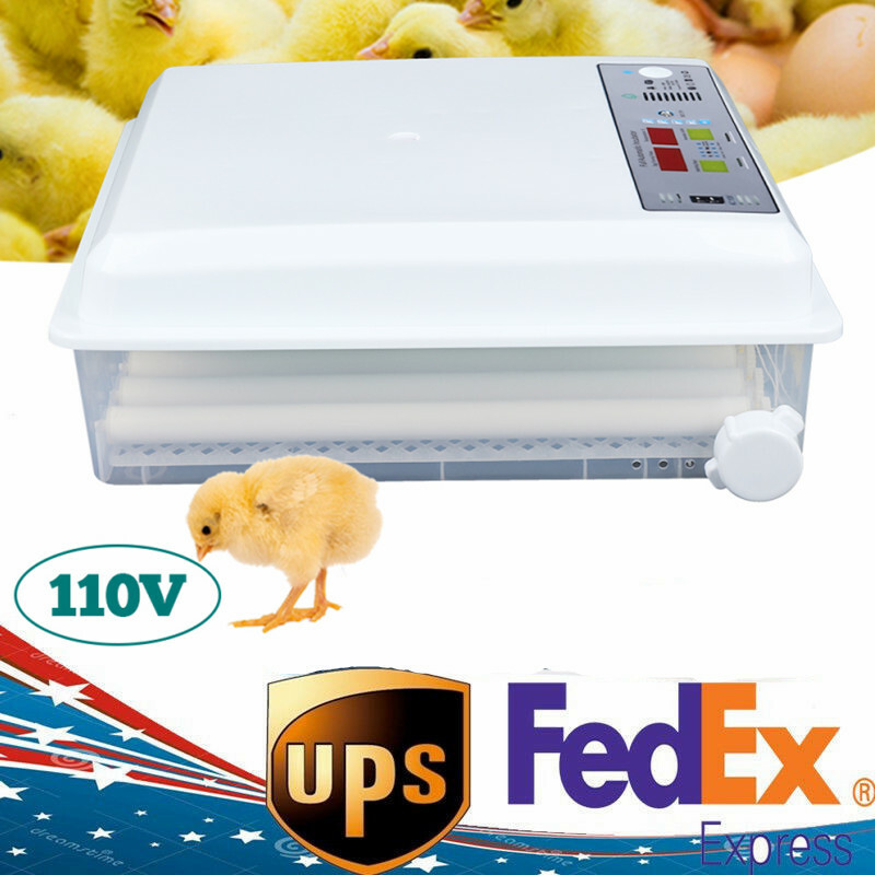 64-Egg Digital Incubator with Temperature Control & Automatic Turner