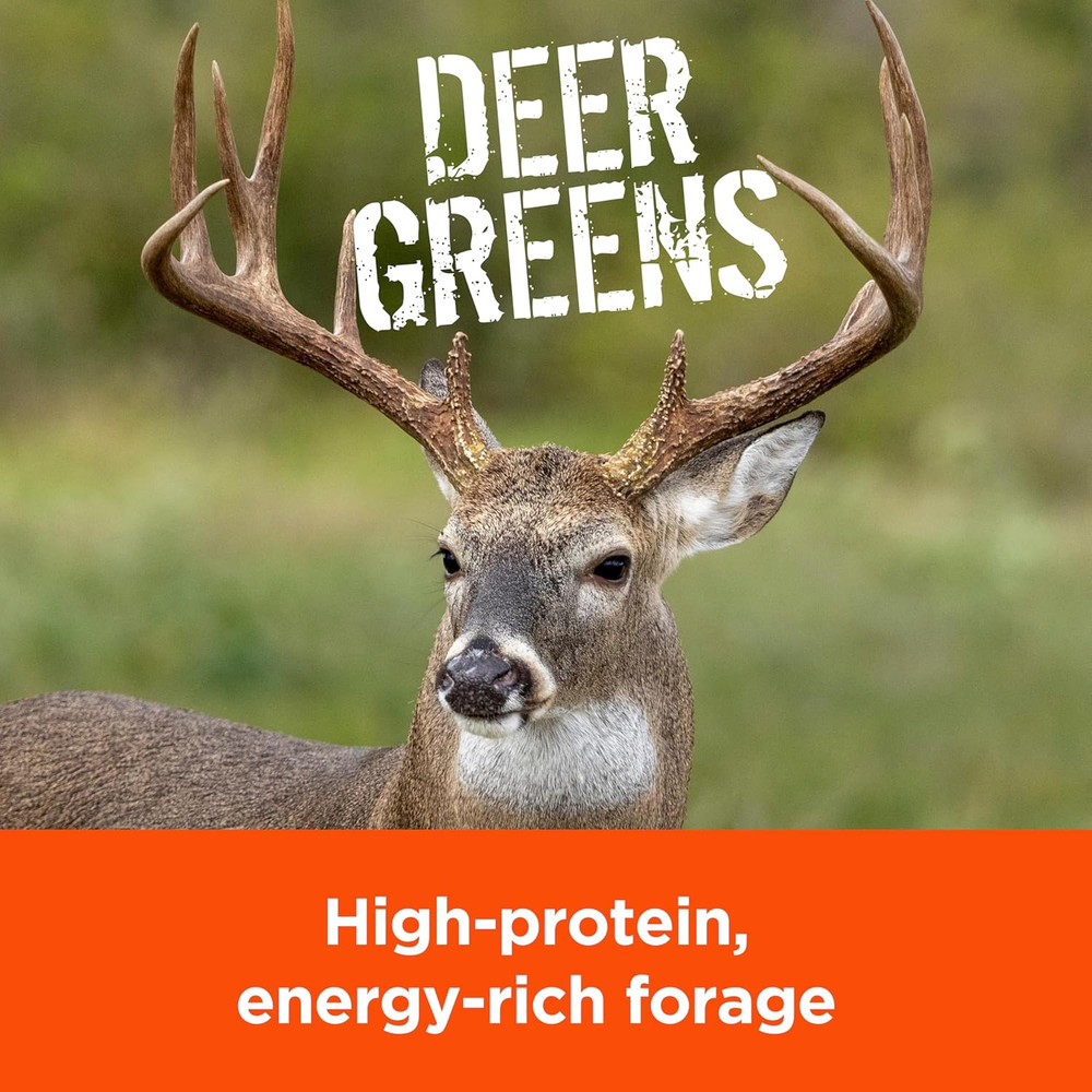 Rackmaster Deer Greens Food Plot Seed 5 Lb