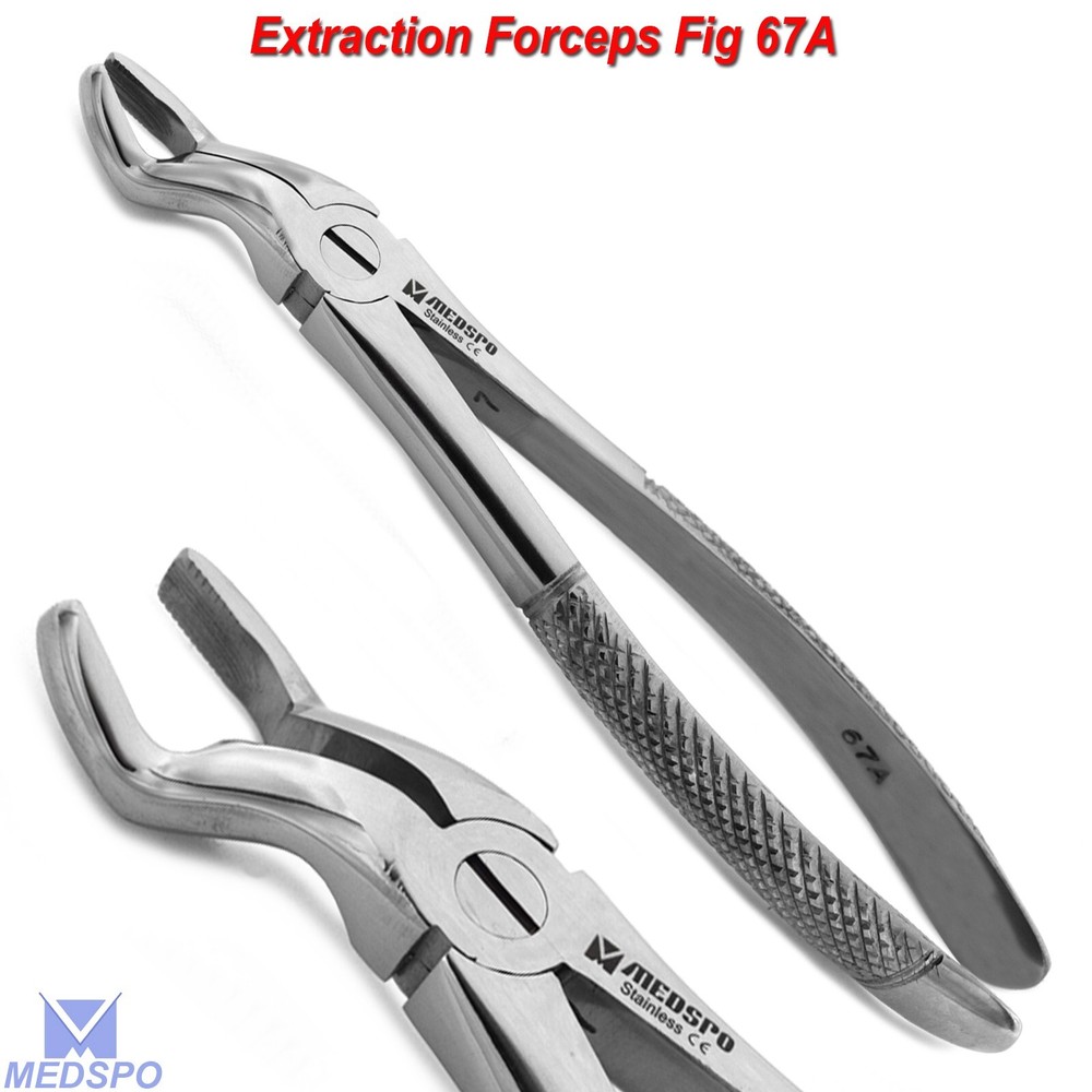 Surgical Extracting Forceps Upper Wisdom Forceps Fig-67 Dental Tooth Extraction