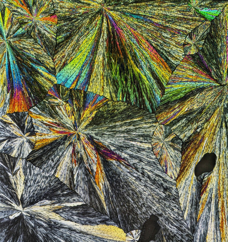 Microscope slide for polarization, PREGNENOLONE