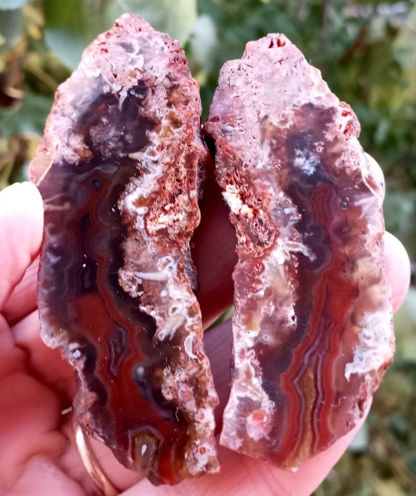Mirror Polished Red Lace Agate Pair